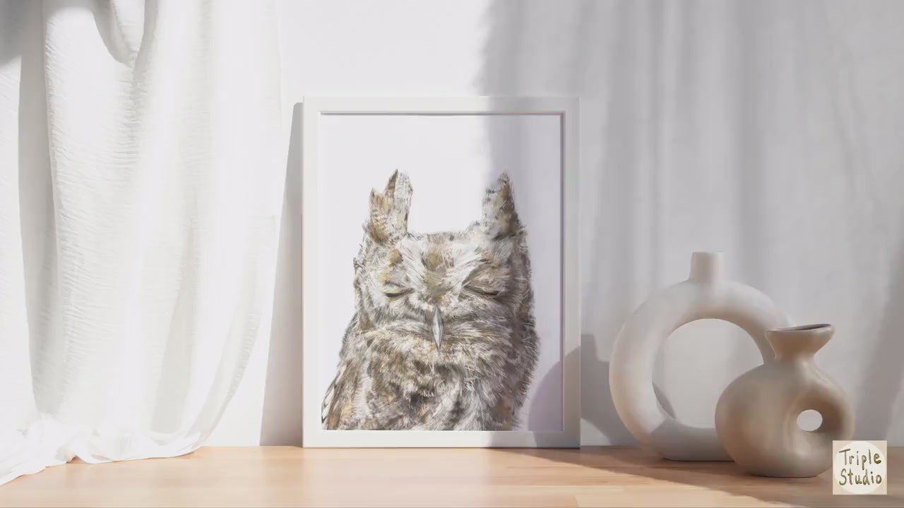 Burrowing Owl Art Print