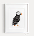 Puffin Bird Art Print