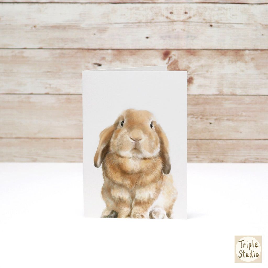 Have a Bunderful Day! | Hoppy Rabbit Stationery Card