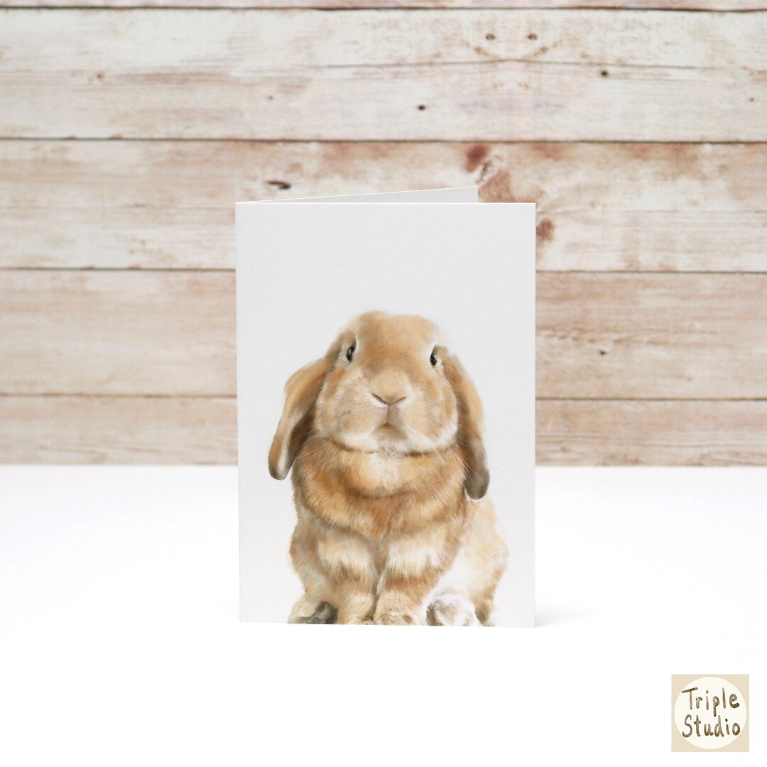 Have a Bunderful Day! | Hoppy Rabbit Stationery Card