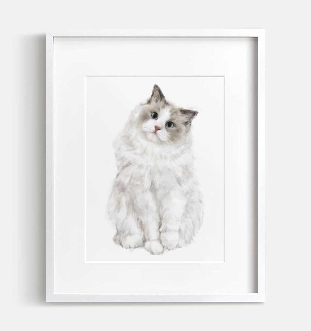 Ragdoll Cat Art Print