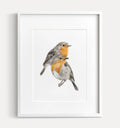 Robin Birds Art Print