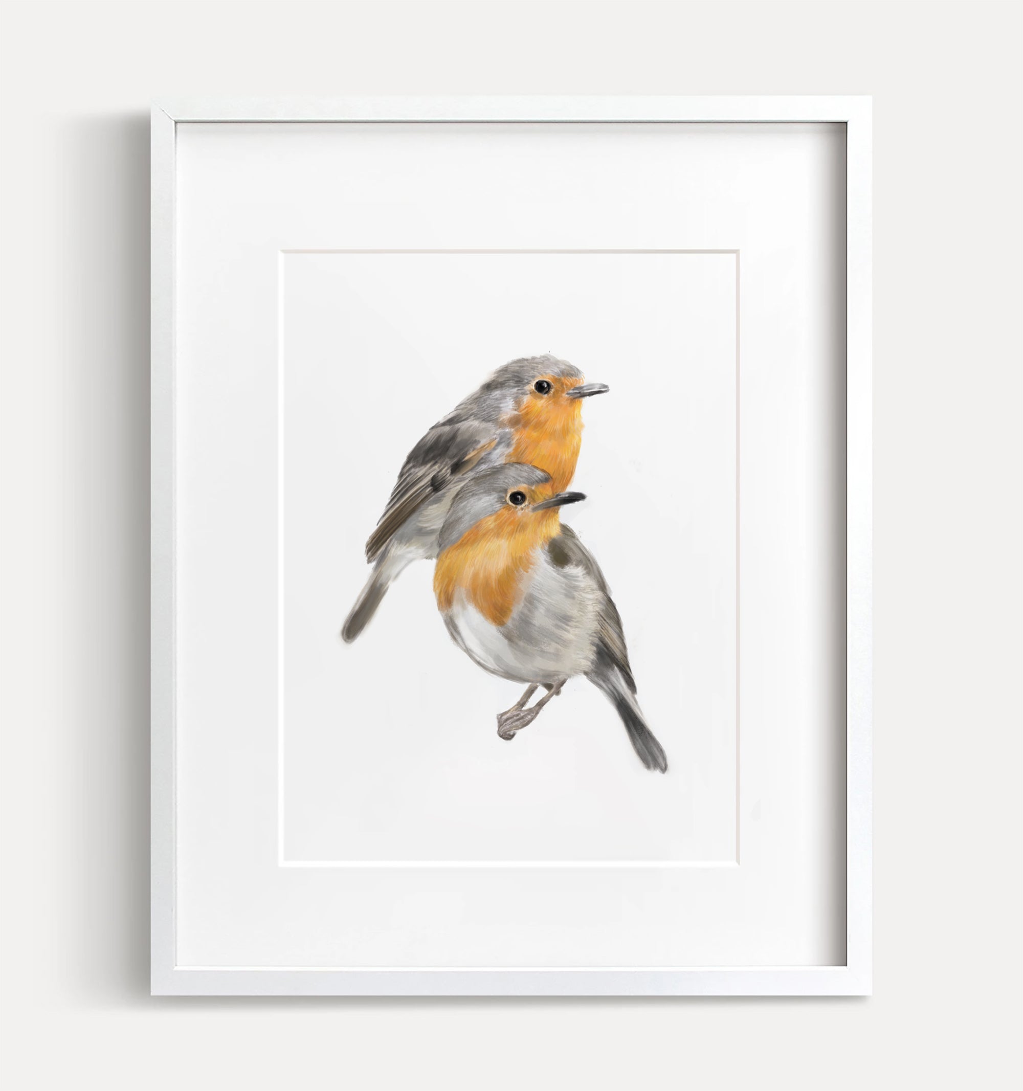 Robin Birds Art Print
