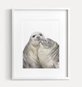 Seal with A Kiss Art Print:  Anniversary Gift for Animal Lovers