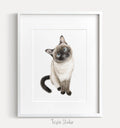 Siamese Art Print