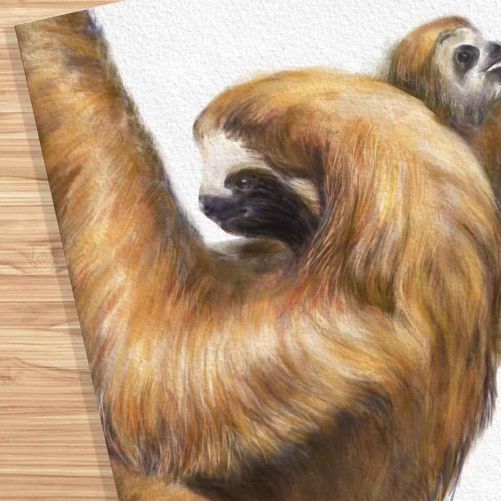 Baby Sloth and Mom Art Print