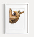 Baby Sloth and Mom Art Print