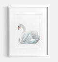 Swan Art Print