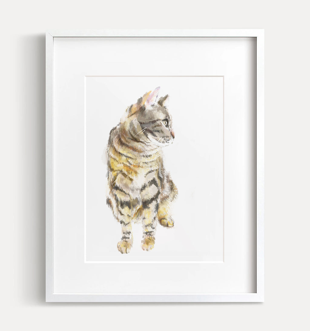 Gray Tabby Cat Art Print