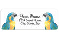 Tropical Macaw Parrot Bird Personalized Return Address Label