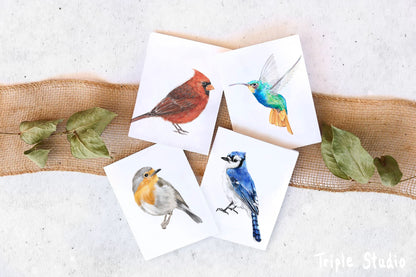 Robin Bird Card