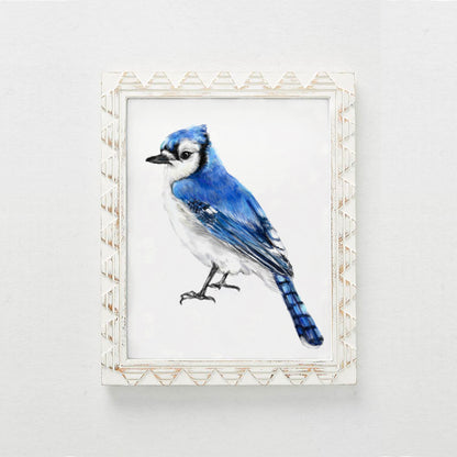 Blue Jay Bird Art Print
