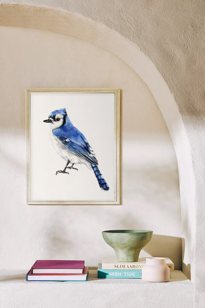 Blue Jay Bird Art Print