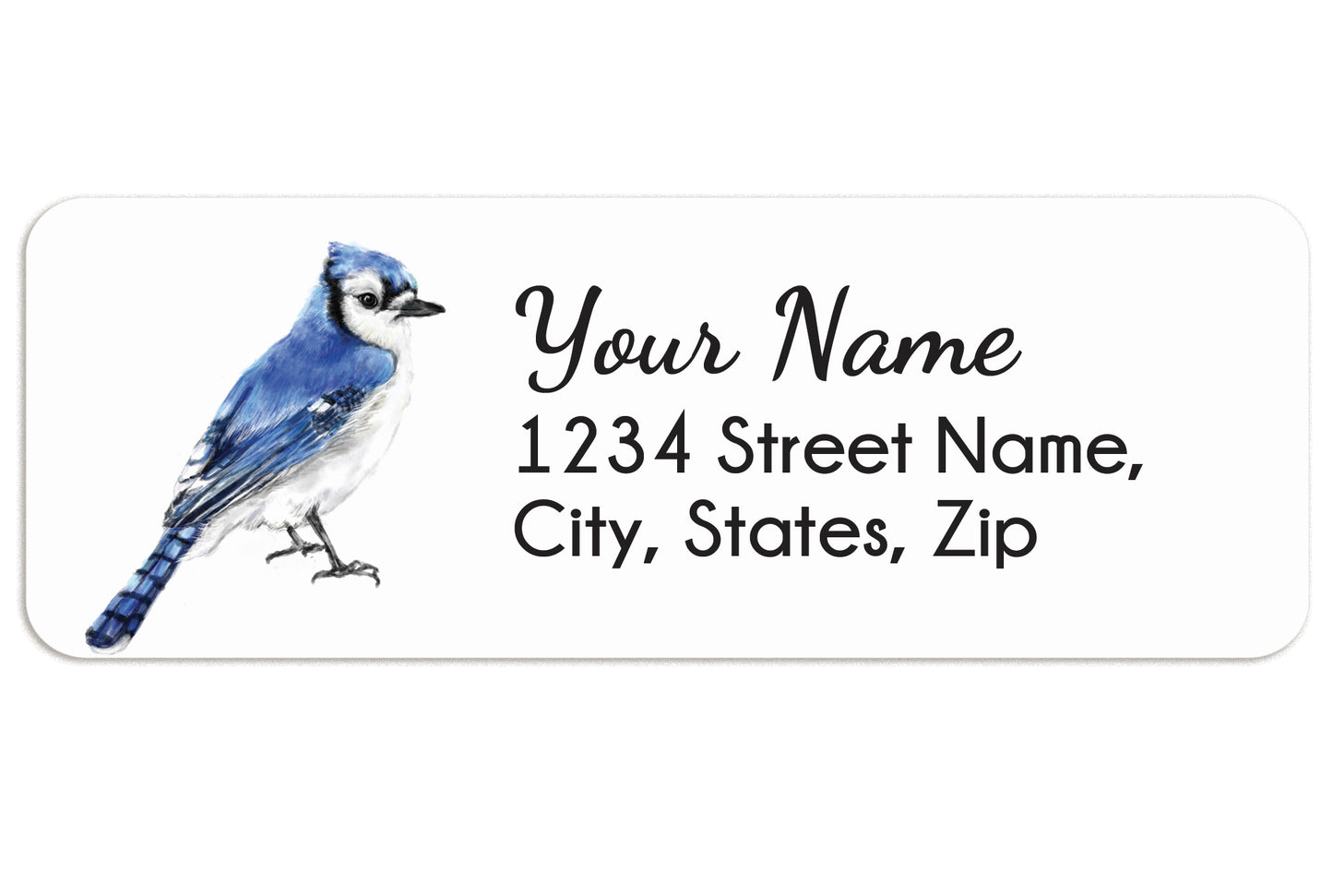 Blue Jay Bird Personalized Address Label