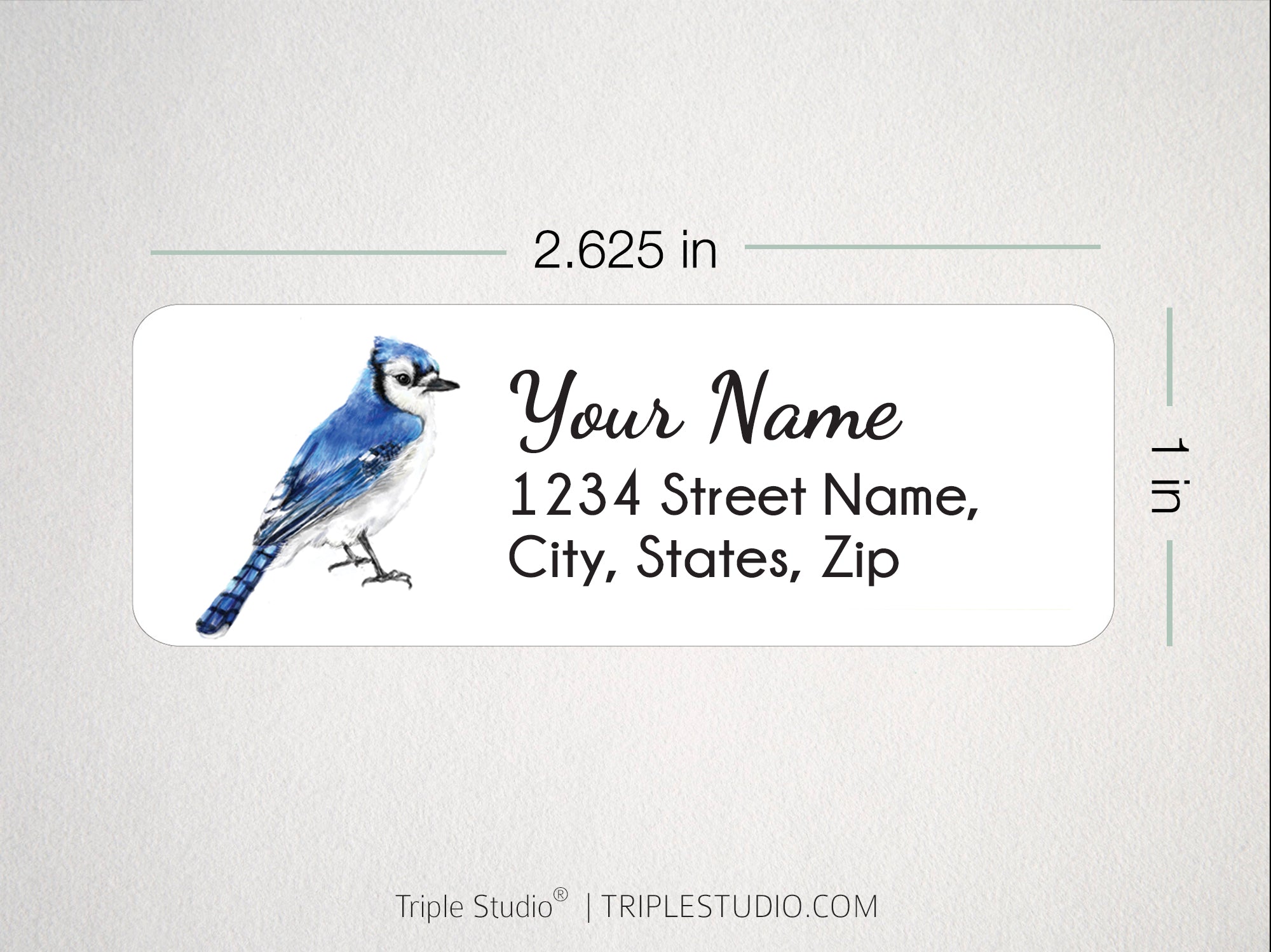 Blue Jay Bird Personalized Address Label