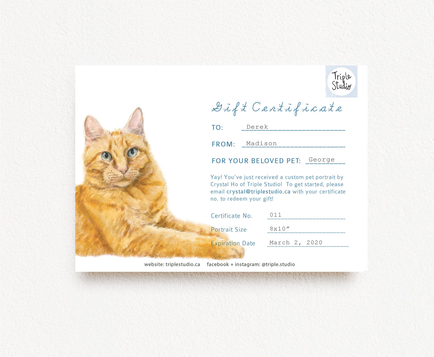 Custom Pet Portrait Gift Certificate