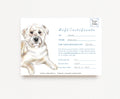 Custom Pet Portrait Gift Certificate