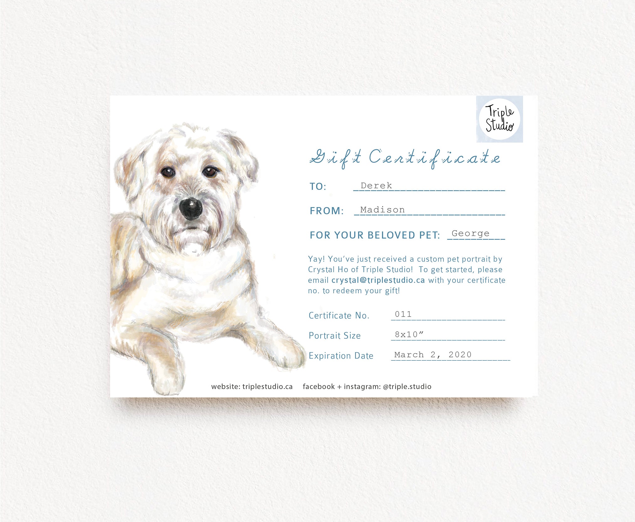 Custom Pet Portrait Gift Certificate
