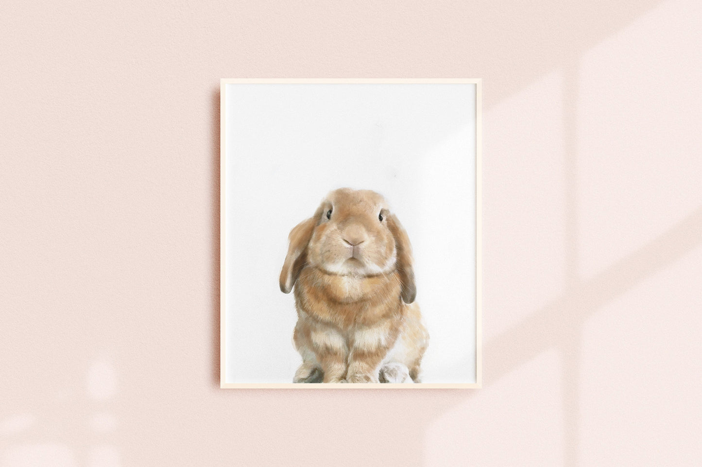 Lop Rabbit Art Print