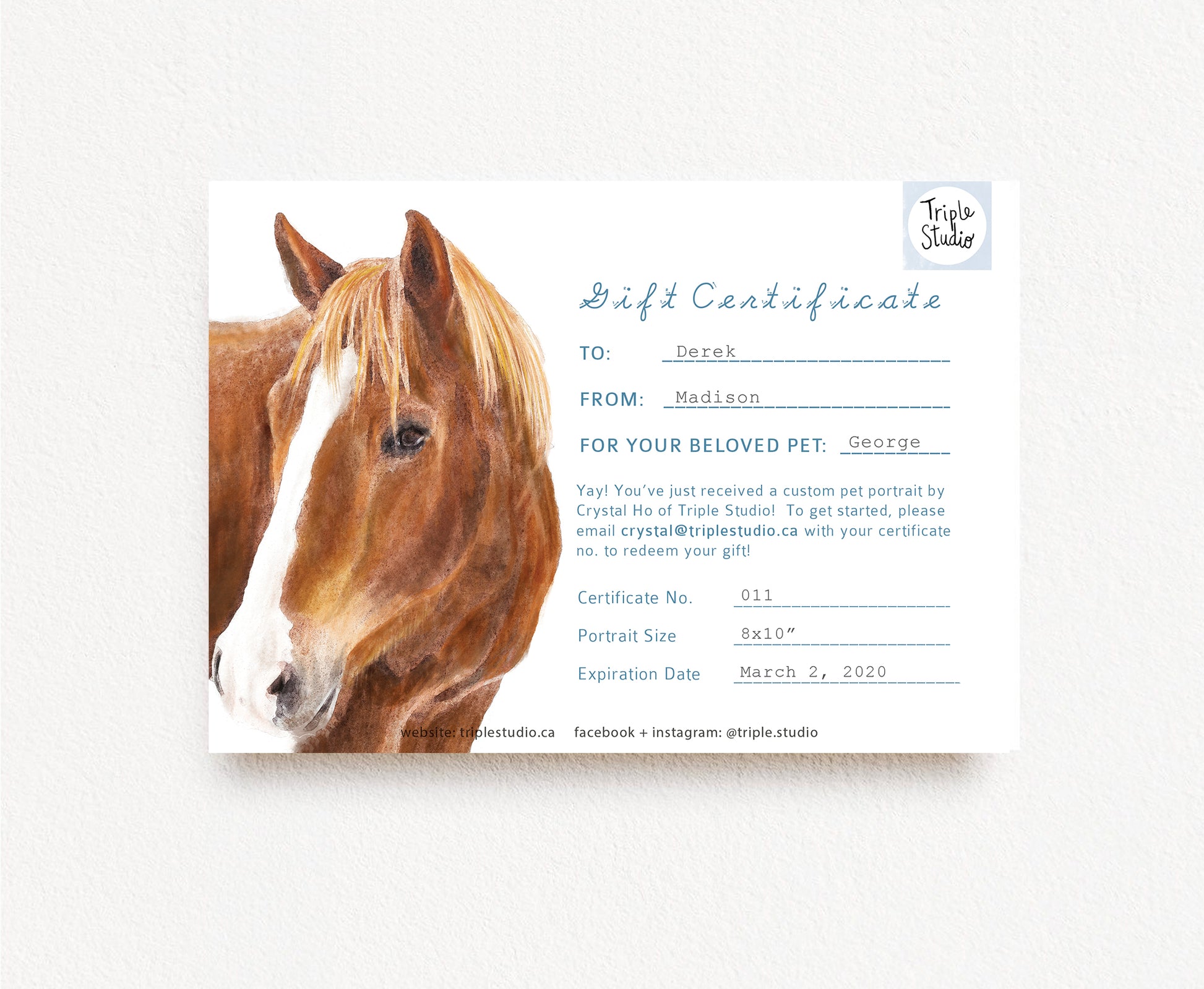 custom-pet-portrait-gift-certificate-triplestudio for Free Printable Horse Riding Certificates Custom Pet Portrait Gift Certificate – TripleStudio for Free Printable Horse Riding Certificates