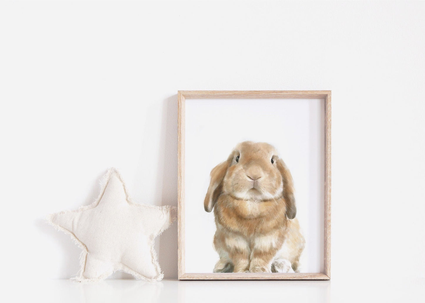 Lop Rabbit Art Print