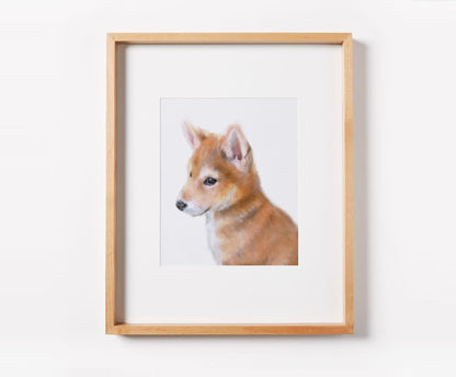 Shiba Inu Puppy Dog Art Print