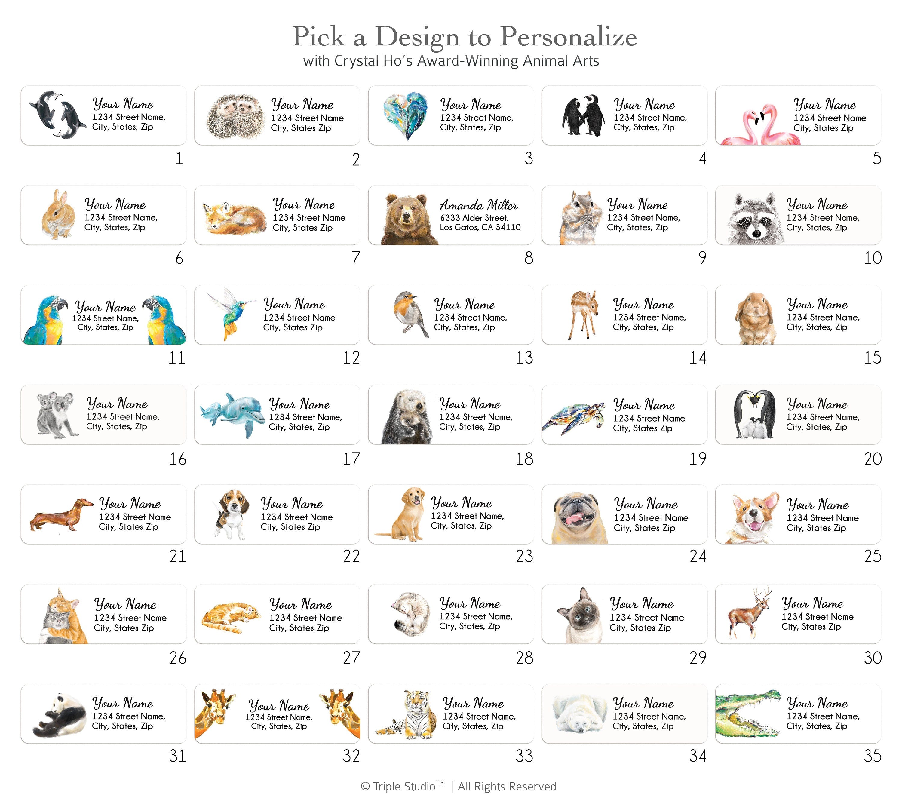 Raccoon Personalized Address Label