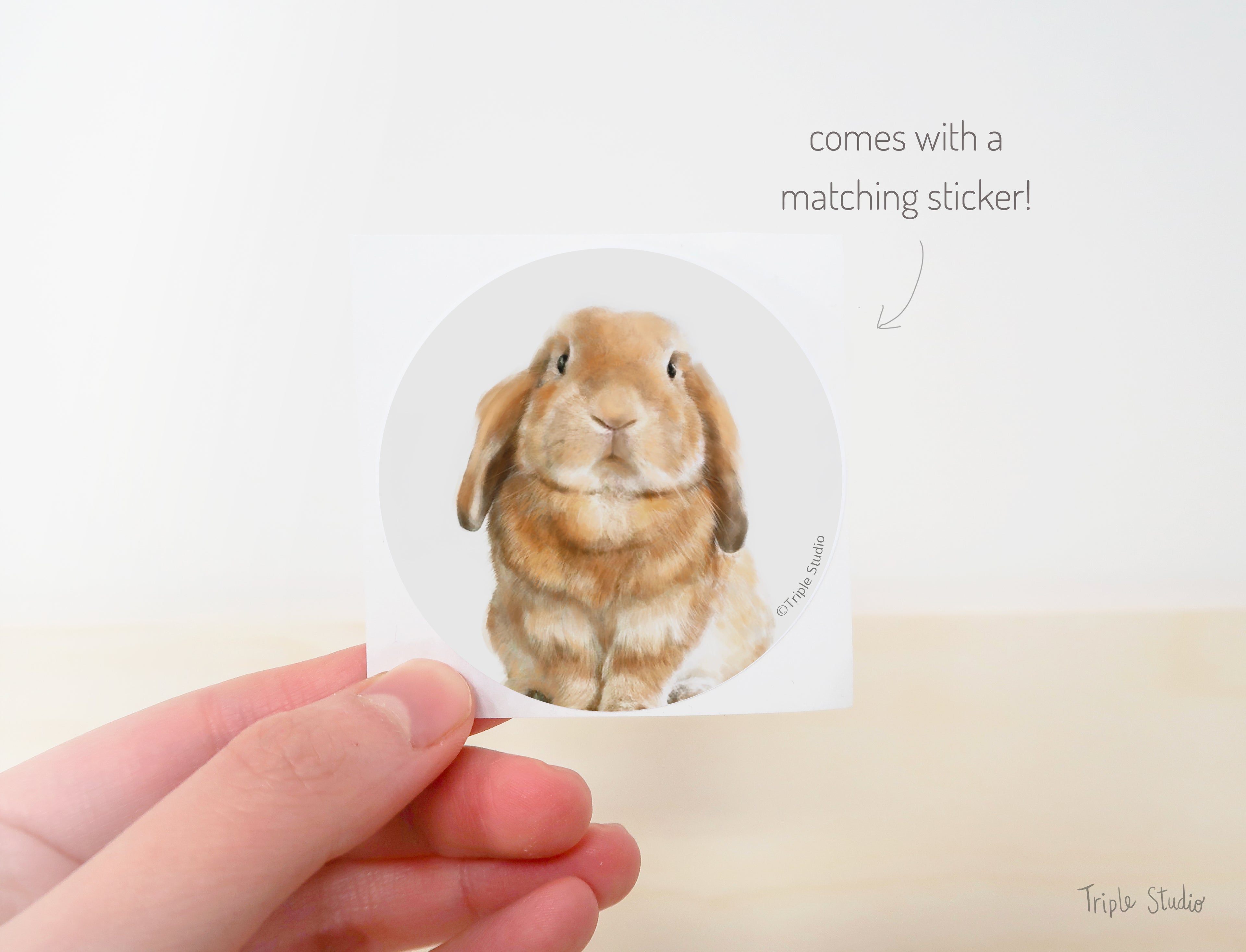 Have a Bunderful Day! | Hoppy Rabbit Stationery Card