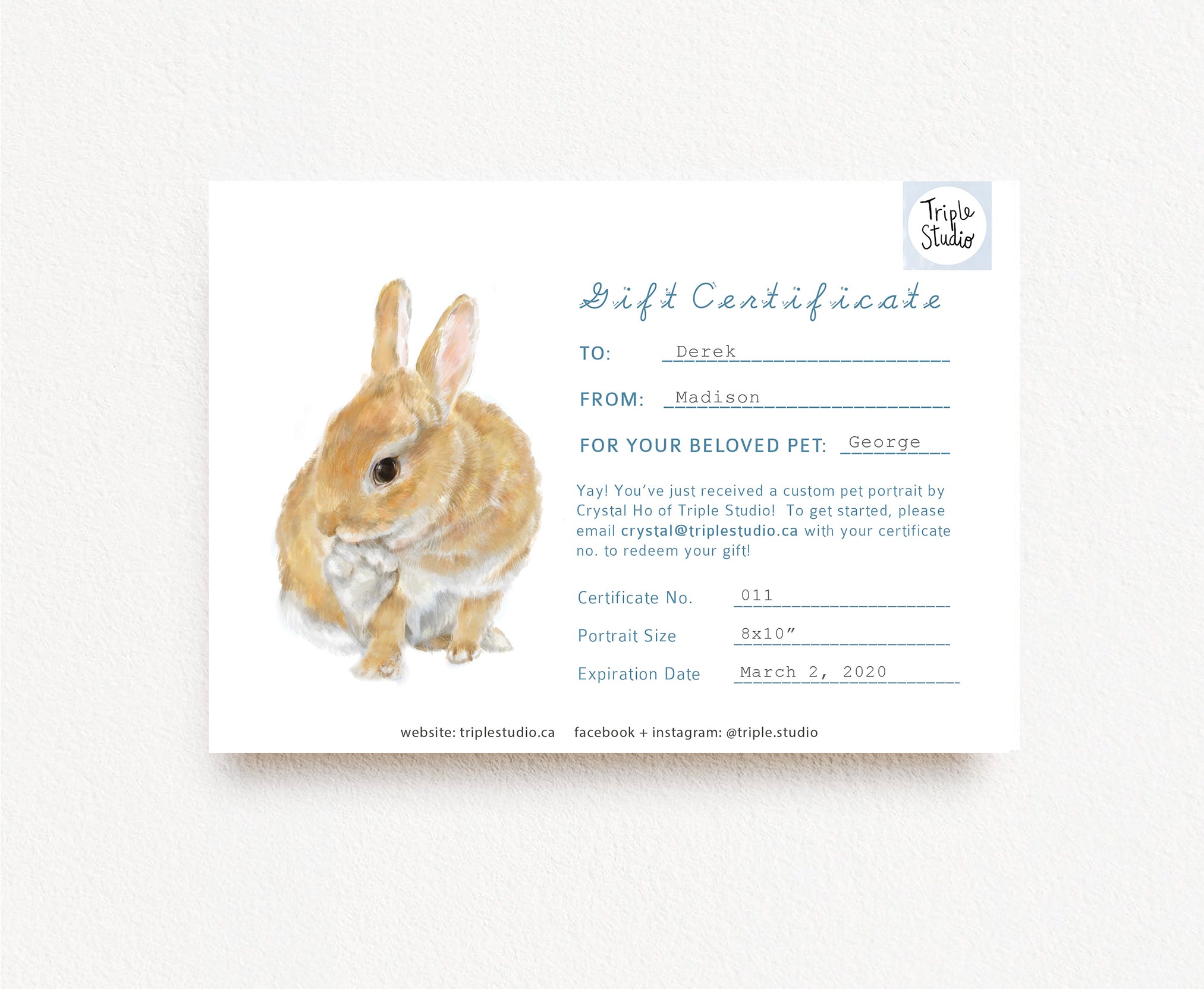 Custom Pet Portrait Gift Certificate