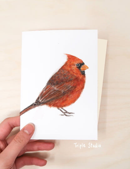 Red Cardinal Bird Card