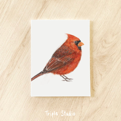 Red Cardinal Bird Card