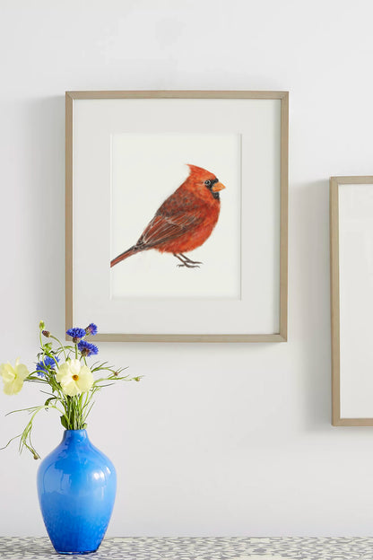 Red Cardinal Bird Art Print