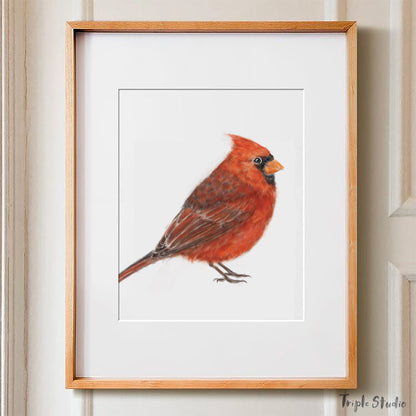 Red Cardinal Bird Art Print