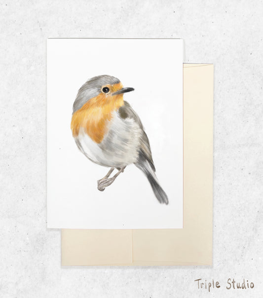 Robin Bird Card