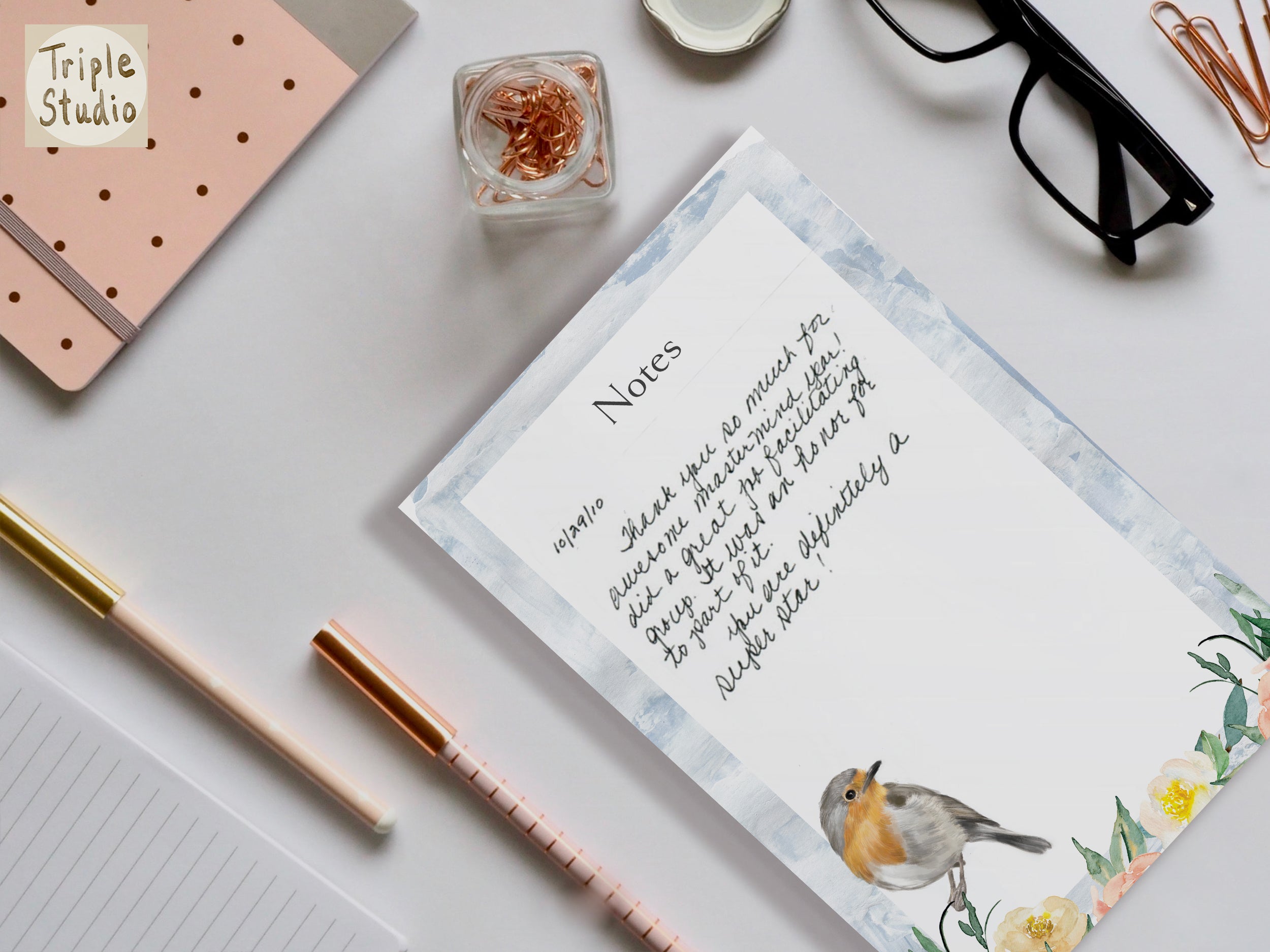 Blank Notepad | Robin Bird in the Spring Garden